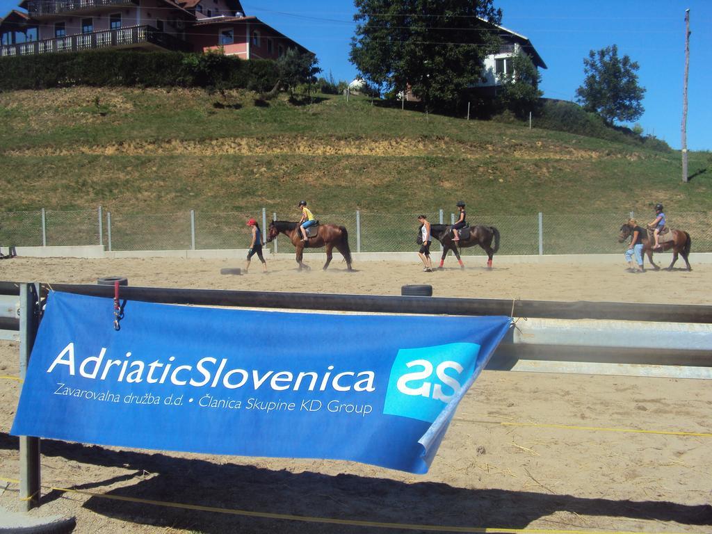 Guesthouse Kaucic Benedikt v Slovenskih Goricah 외부 사진