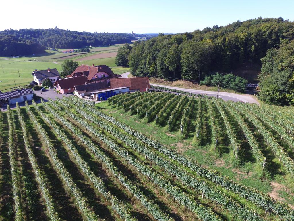 Guesthouse Kaucic Benedikt v Slovenskih Goricah 외부 사진