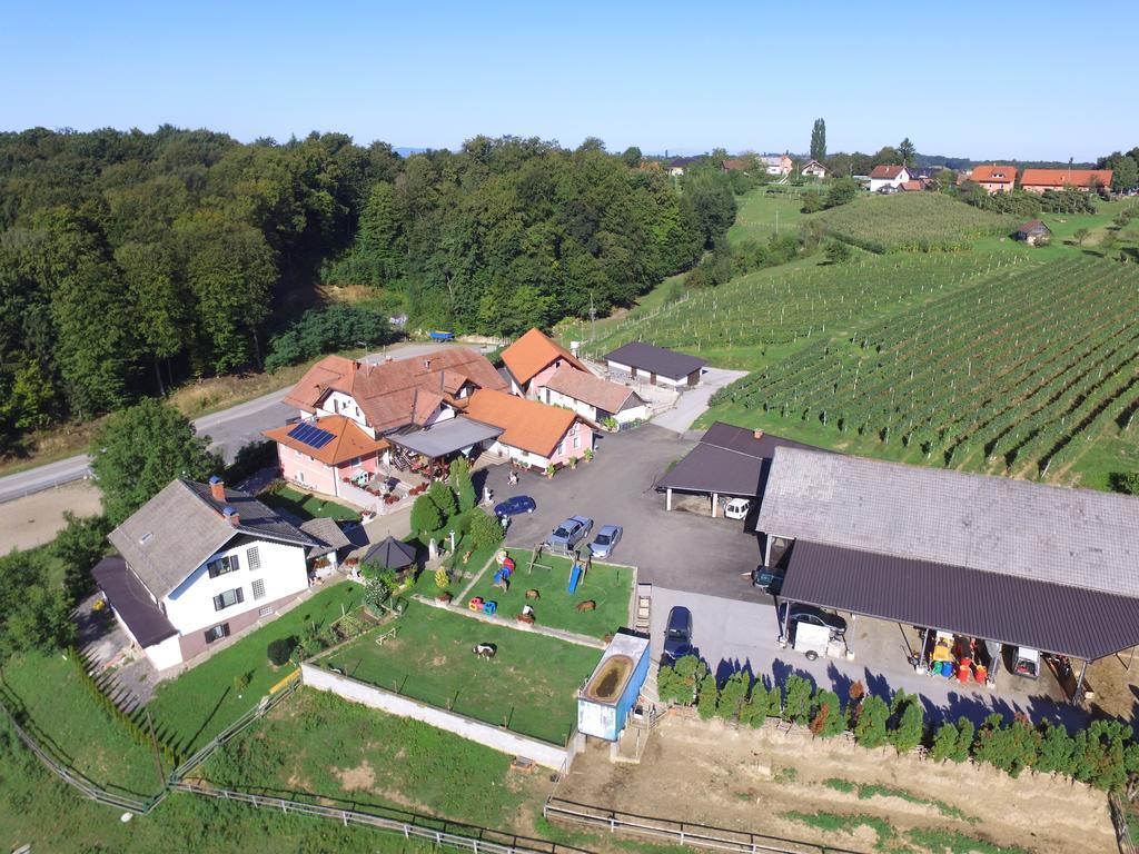 Guesthouse Kaucic Benedikt v Slovenskih Goricah 외부 사진